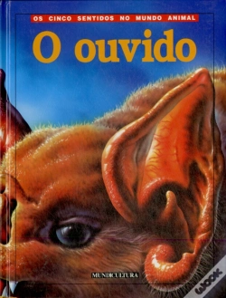Capa do artigo O Ouvido