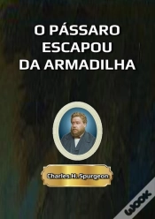 Capa do artigo O Pássaro Escapou Da Armadilha