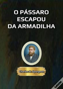Capa do artigo O Pássaro Escapou Da Armadilha
