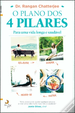 Capa do artigo O Plano dos 4 Pilares