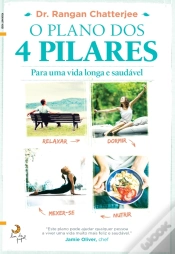 Capa do artigo O Plano Dos 4 Pilares