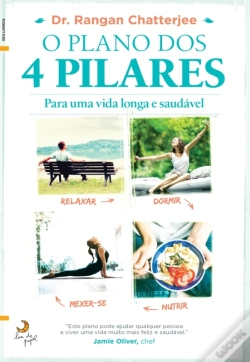 Capa do artigo O Plano Dos 4 Pilares