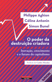 Capa do artigo O Poder da Destruição Criadora