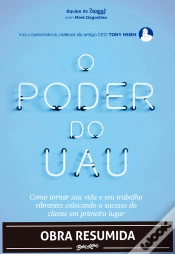 Capa do artigo O Poder Do Uau (Resumo)