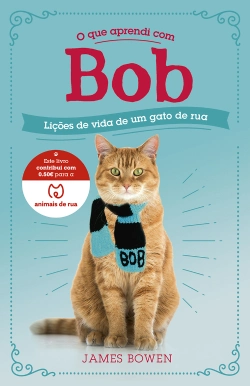 Capa do artigo O que aprendi com Bob
