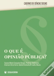 Capa do artigo O que é Opinião Pública?