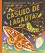 O que Há Dentro de um Casulo de Lagarta? - Preview