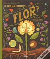 Capa do artigo O que Há Dentro de uma Flor?