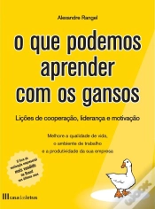 Capa do artigo O Que Podemos Aprender Com os Gansos