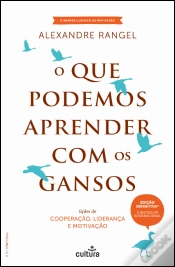 Capa do artigo O Que Podemos Aprender Com os Gansos