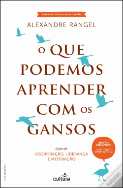 Capa do artigo O Que Podemos Aprender Com os Gansos