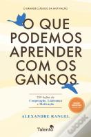 O que Podemos Aprender com os Gansos