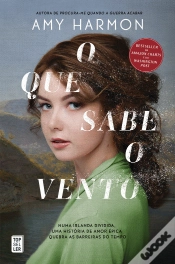 Capa do artigo O Que Sabe o Vento