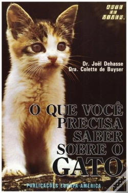 Capa do artigo O que Você Precisa Saber Sobre o Gato