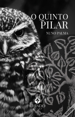 Capa do artigo O Quinto Pilar