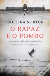 Capa do artigo O Rapaz E O Pombo