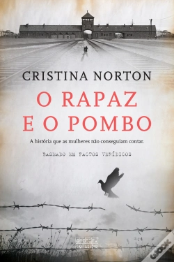 Capa do artigo O Rapaz E O Pombo