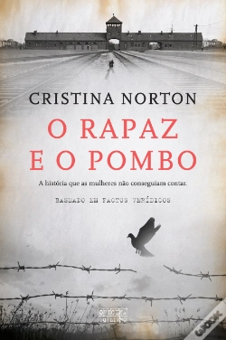 Capa do artigo O Rapaz e o Pombo