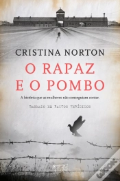Capa do artigo O Rapaz e o Pombo