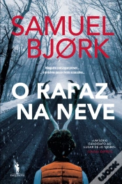 Capa do artigo O Rapaz na Neve