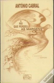 Capa do artigo O Rio Que Perdeu as Margens