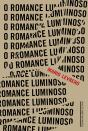 O Romance Luminoso - Preview