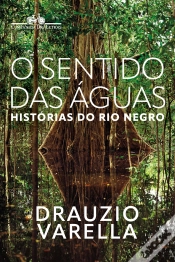 Capa do artigo O Sentido Das Águas