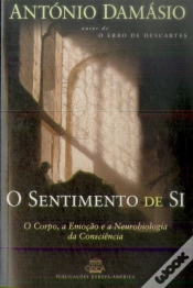 Capa do artigo O Sentimento de Si