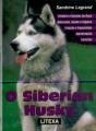 O Siberian Husky - Preview