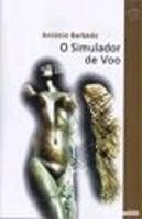 O Simulador de Voo