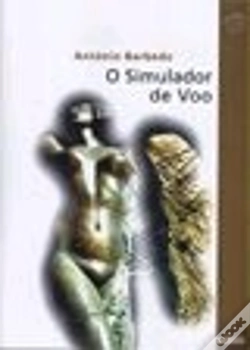 Capa do artigo O Simulador de Voo
