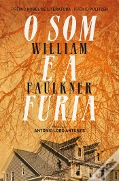 Capa do artigo O Som e a Fúria