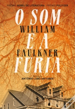 Capa do artigo O Som E A Fúria