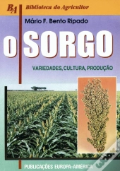 O Sorgo