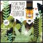 O Sr. Tigre Torna-se Selvagem - Preview