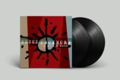 Capa do artigo O Sun O Moon - Vinil