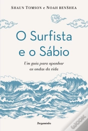 Capa do artigo O Surfista e o Sábio