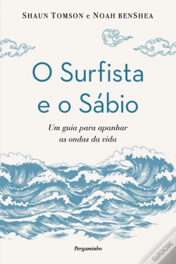 Capa do artigo O Surfista e o Sábio