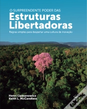 Capa do artigo O Surpreendente Poder Das Estruturas Libertadoras