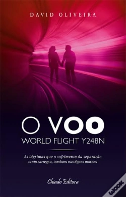 Capa do artigo O Voo World Flight Y248N