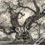 Capa do artigo Oak
