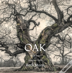 Capa do artigo Oak