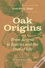 Capa do artigo Oak Origins
