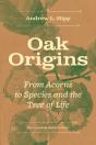 Oak Origins - Preview