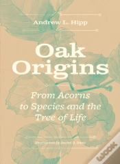 Capa do artigo Oak Origins