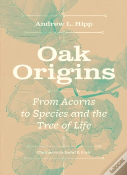 Capa do artigo Oak Origins
