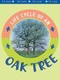 Oak Tree - Preview