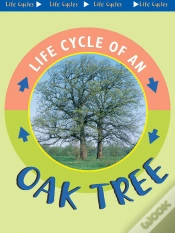 Capa do artigo Oak Tree