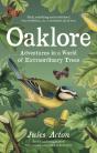 Oaklore - Preview