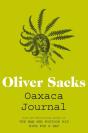 Oaxaca Journal - Preview